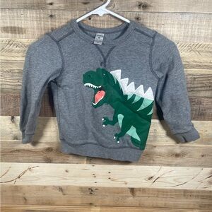 Carter’s Gray Green Dinosaur Boys (4T) Top Long Sleeve Soft Fleece Sweatshirt VG